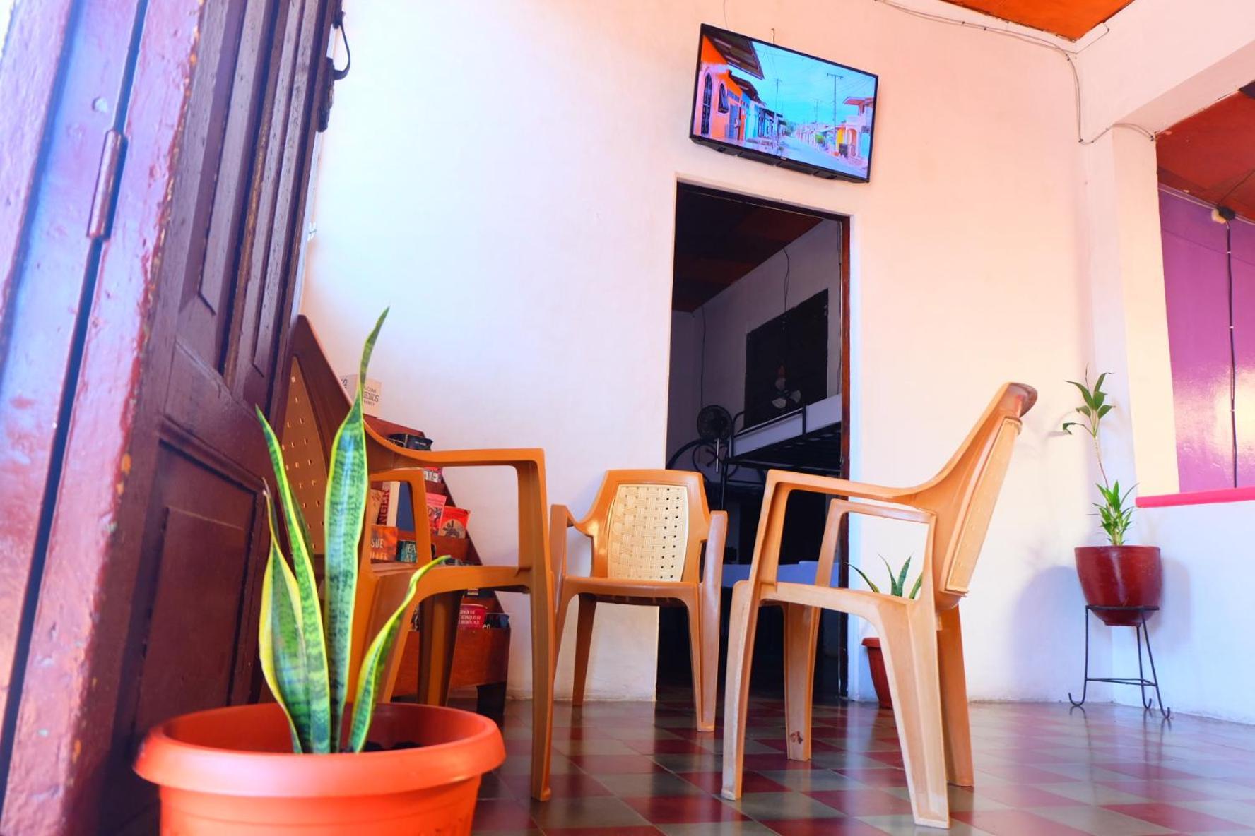 Deakachimba Hostel غرناطة المظهر الخارجي الصورة