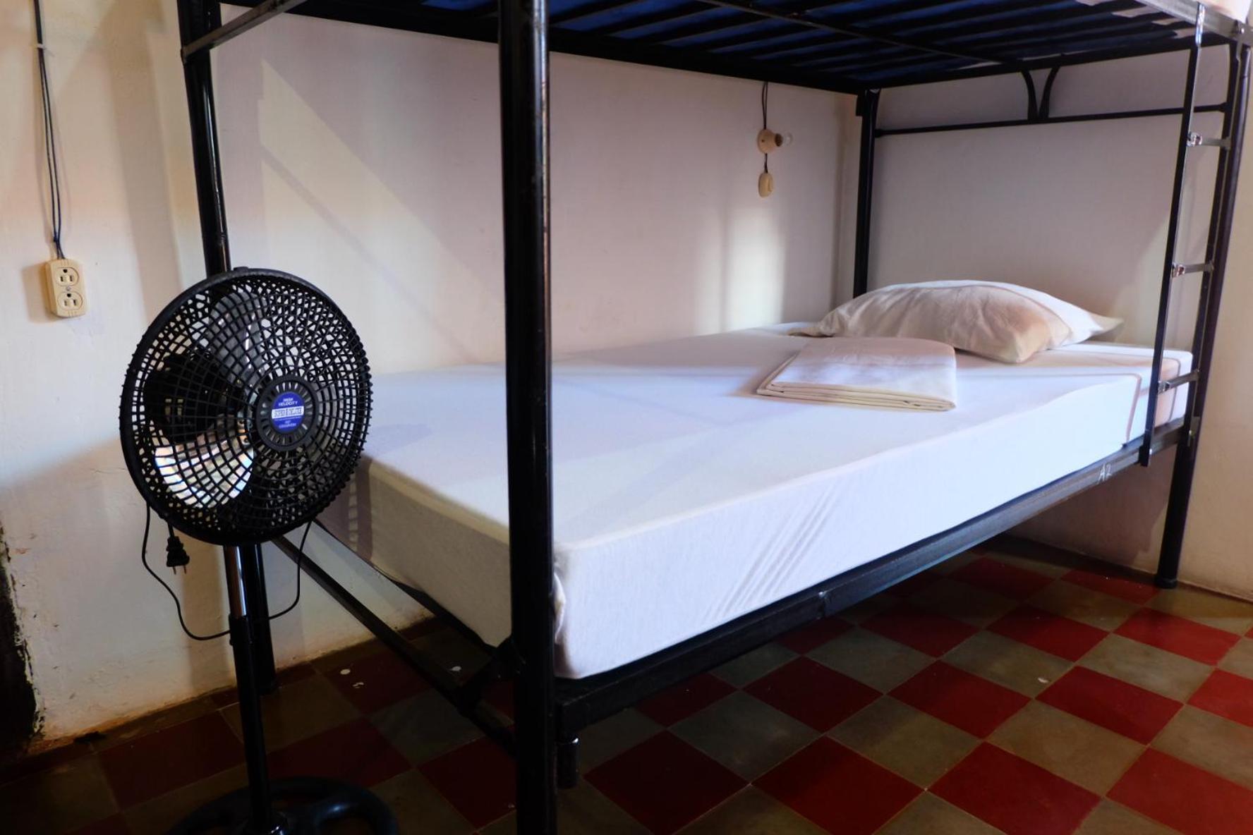 Deakachimba Hostel غرناطة المظهر الخارجي الصورة