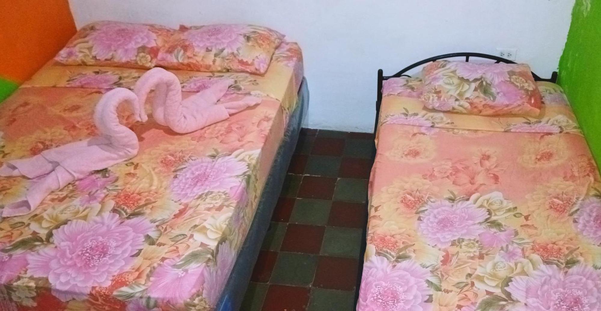 Deakachimba Hostel غرناطة المظهر الخارجي الصورة